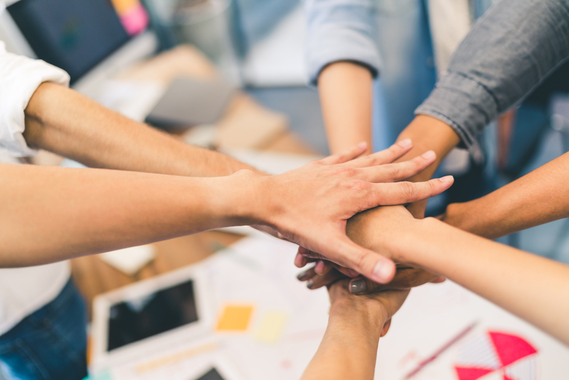 Business partners teamwork or friendship concept. Multiethnic diverse group of colleagues join hands together