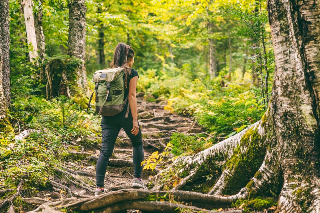 Forest hike trail purpose driven hiker walking in autumn fall nature background in fall season. Hiking active people lifestyle