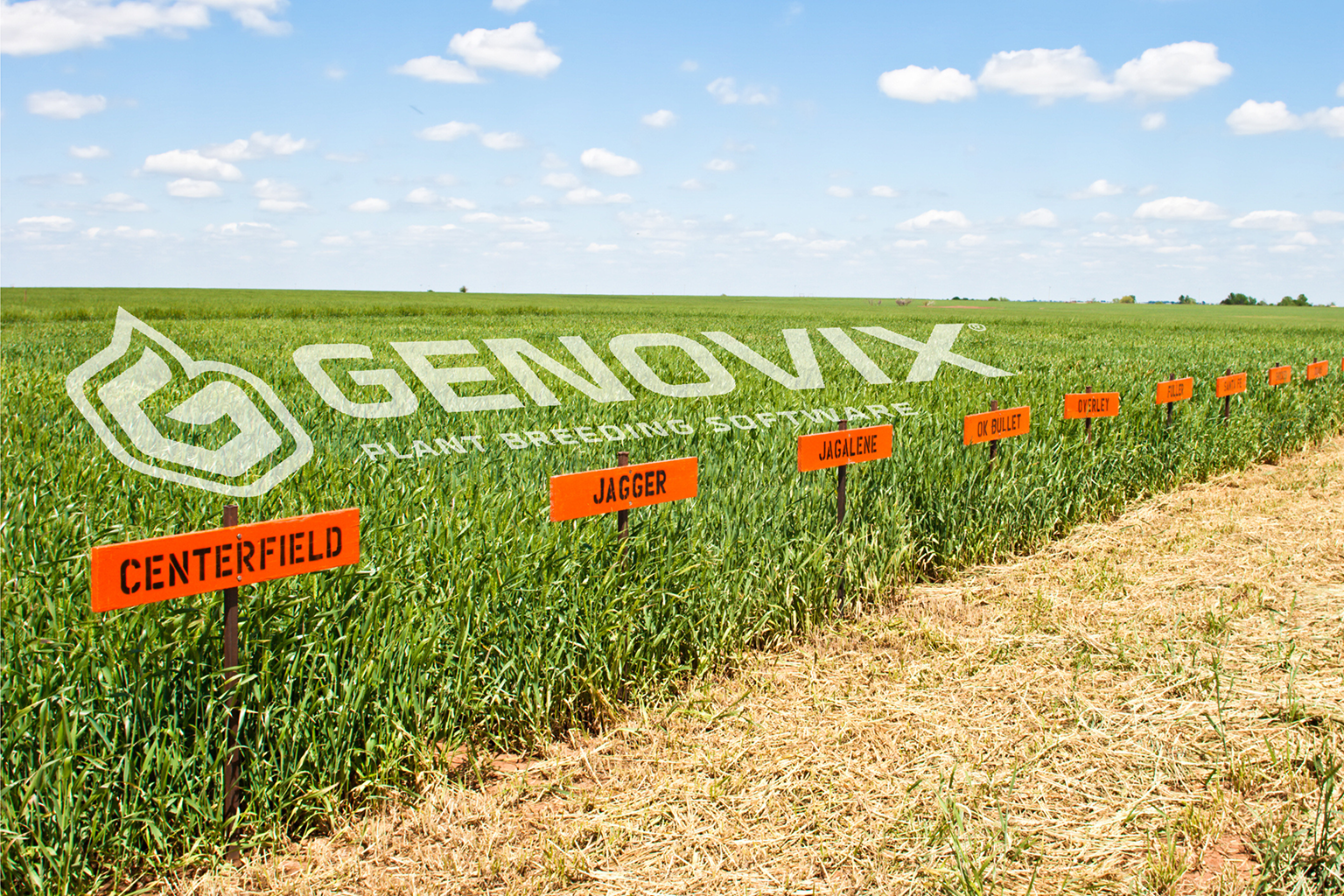 Genovix logo on a field trial
